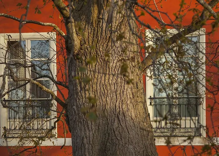 Casona De La Paca 3*